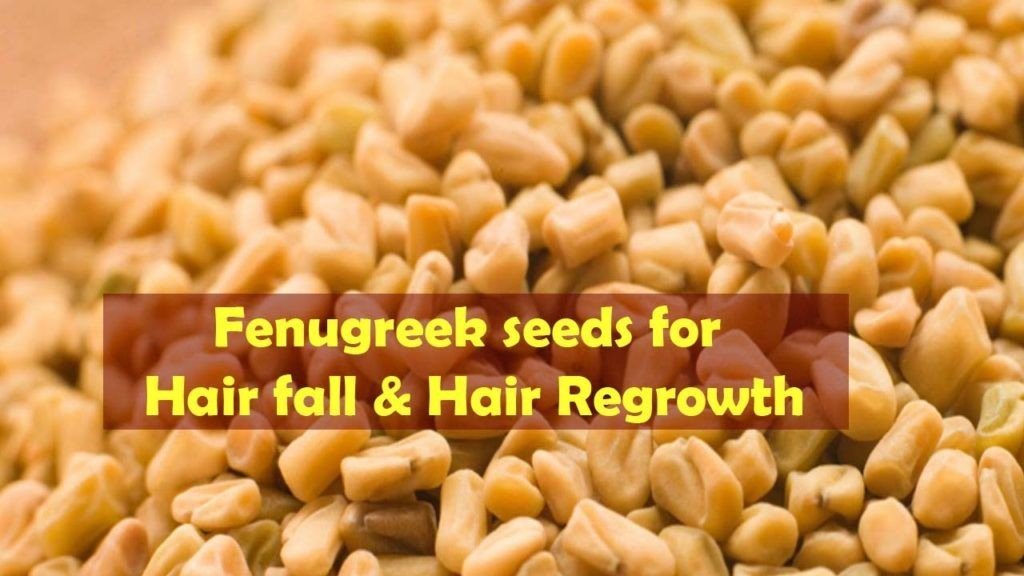 Fenugreek for Growing Hair 